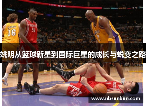 姚明从篮球新星到国际巨星的成长与蜕变之路