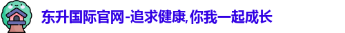 东升国际
